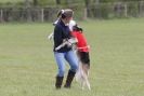 Image 24 in BSFA 22 APRIL 2012 SOME BORZOI PICTURES