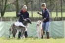 Image 25 in BSFA 22 APRIL 2012 SOME BORZOI PICTURES