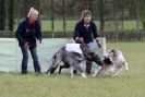 Image 5 in BSFA 22 APRIL 2012 SOME BORZOI PICTURES