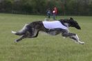 Image 9 in BSFA 22 APRIL 2012 SOME BORZOI PICTURES