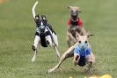 Image 101 in 1st CHAMPS APRIL 2012 ( WCRA )