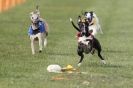 Image 22 in 1st CHAMPS APRIL 2012 ( WCRA )
