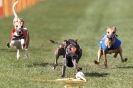 Image 34 in 1st CHAMPS APRIL 2012 ( WCRA )