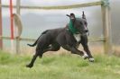 Image 4 in SUSSEX  LONGDOGS  8 APRIL  2012
