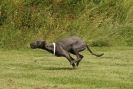 Image 11 in POACHERS REST 2012