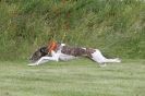 Image 14 in POACHERS REST 2012