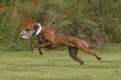 Image 17 in POACHERS REST 2012