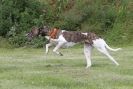 Image 18 in POACHERS REST 2012