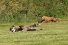 Image 24 in POACHERS REST 2012