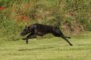 Image 28 in POACHERS REST 2012