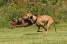 Image 29 in POACHERS REST 2012