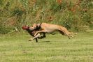 Image 30 in POACHERS REST 2012