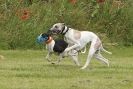Image 33 in POACHERS REST 2012