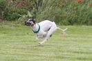 Image 38 in POACHERS REST 2012