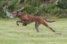 Image 40 in POACHERS REST 2012