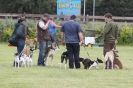 Image 43 in POACHERS REST 2012