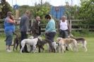Image 44 in POACHERS REST 2012