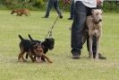 Image 46 in POACHERS REST 2012