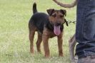 Image 47 in POACHERS REST 2012