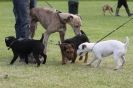 Image 50 in POACHERS REST 2012