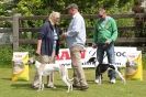 Image 54 in POACHERS REST 2012