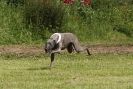 Image 59 in POACHERS REST 2012