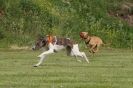 Image 61 in POACHERS REST 2012
