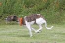 Image 63 in POACHERS REST 2012