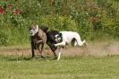 Image 64 in POACHERS REST 2012