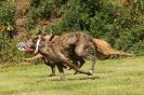 Image 66 in POACHERS REST 2012
