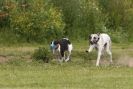 Image 68 in POACHERS REST 2012