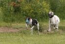 Image 69 in POACHERS REST 2012