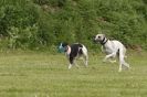 Image 72 in POACHERS REST 2012