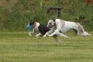 Image 73 in POACHERS REST 2012