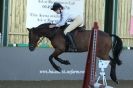 Image 2 in HUMBERSTONES EQUESTRIAN CENTRE 6 SEPT 2012