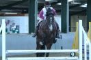Image 27 in HUMBERSTONES EQUESTRIAN CENTRE 6 SEPT 2012