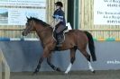 Image 3 in HUMBERSTONES  EQUESTRIAN  CENTRE  6 SEPT 2012