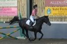 Image 35 in HUMBERSTONES EQUESTRIAN CENTRE 6 SEPT 2012