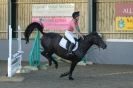 Image 37 in HUMBERSTONES  EQUESTRIAN  CENTRE  6 SEPT 2012