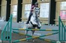 Image 38 in HUMBERSTONES  EQUESTRIAN  CENTRE  6 SEPT 2012