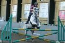 Image 38 in HUMBERSTONES EQUESTRIAN CENTRE 6 SEPT 2012