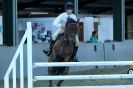 Image 41 in HUMBERSTONES  EQUESTRIAN  CENTRE  6 SEPT 2012