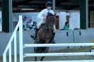 Image 41 in HUMBERSTONES EQUESTRIAN CENTRE 6 SEPT 2012