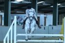 Image 44 in HUMBERSTONES  EQUESTRIAN  CENTRE  6 SEPT 2012