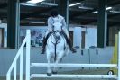 Image 44 in HUMBERSTONES EQUESTRIAN CENTRE 6 SEPT 2012