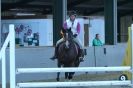 Image 51 in HUMBERSTONES  EQUESTRIAN  CENTRE  6 SEPT 2012