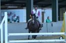 Image 51 in HUMBERSTONES EQUESTRIAN CENTRE 6 SEPT 2012