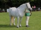 Image 10 in SUFFOLK  HORSE  SPECTACULAR. (HEAVY  HORSE  BREEDS)