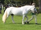 Image 16 in SUFFOLK  HORSE  SPECTACULAR. (HEAVY  HORSE  BREEDS)