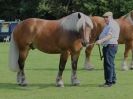 Image 5 in SUFFOLK  HORSE  SPECTACULAR. (HEAVY  HORSE  BREEDS)